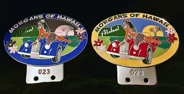 Hawaii Morgan badge