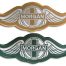 photo of gold and green Morgan wing patches
